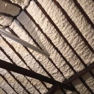 Closed-cell spray foam insulation under a coop roof